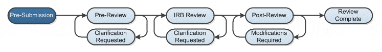 workflow graphic for IRB